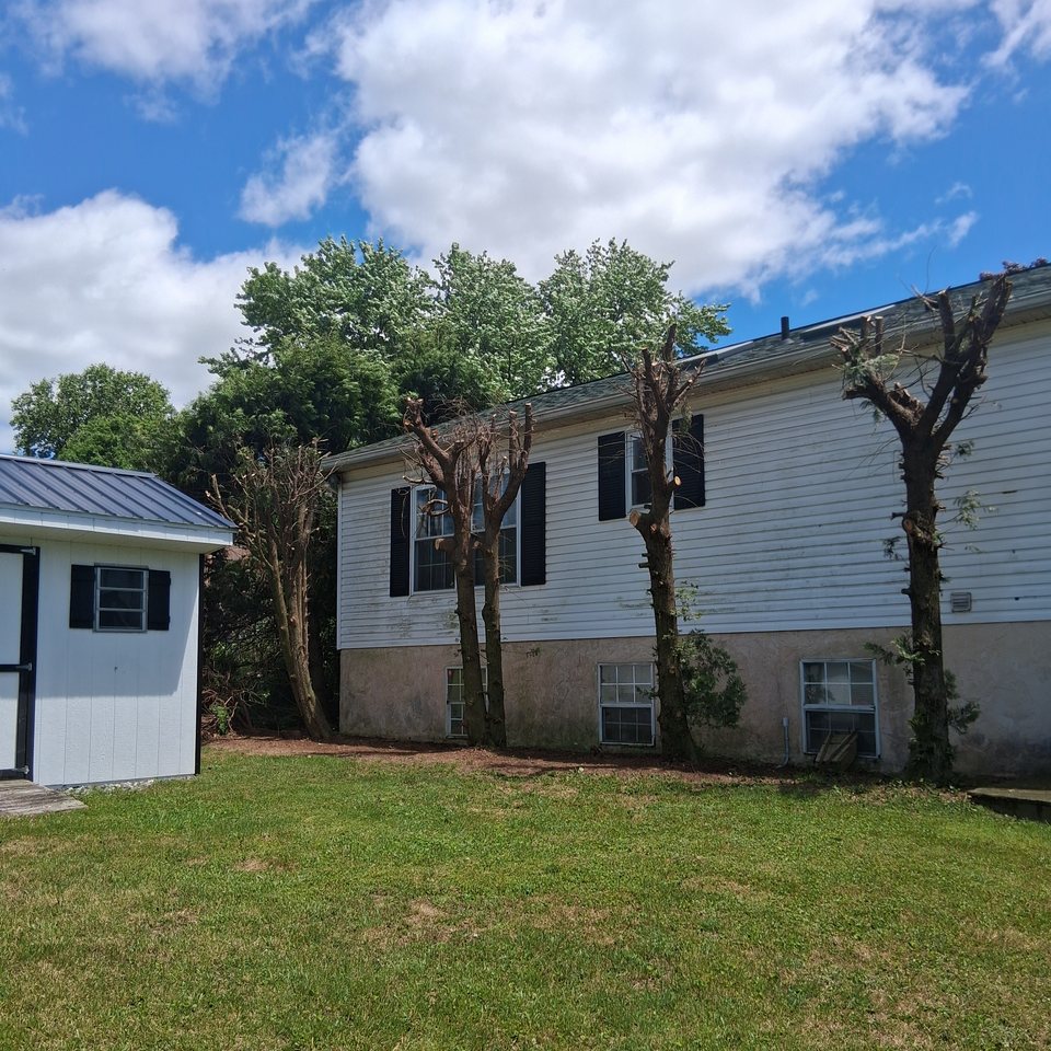 Trees cut back away from a house roofline in Lancaster County